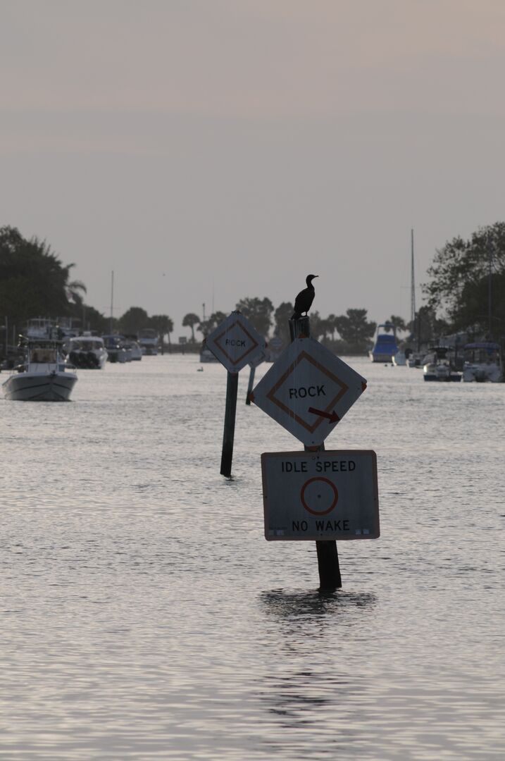 Hernando Beach channel scenes (31)