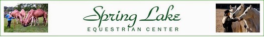 logo_SpringLakeEquestrian