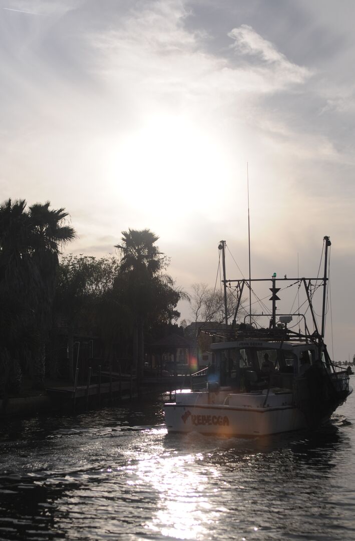 Hernando Beach channel scenes (10)