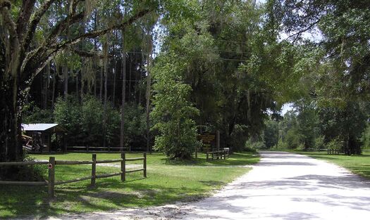 Tucker Hill Trail Head, Withlacoochee State Forest, Brooksville