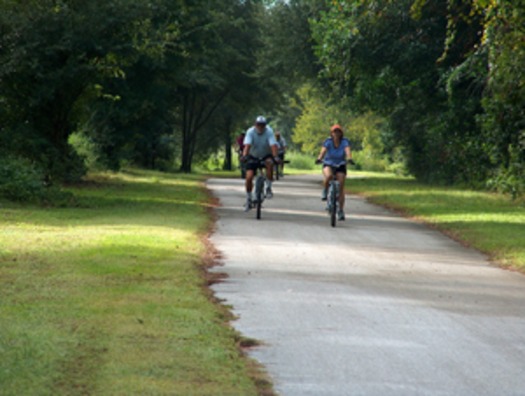 riding the trail