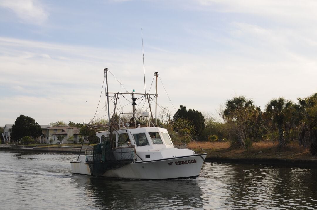 Hernando Beach channel scenes (8)