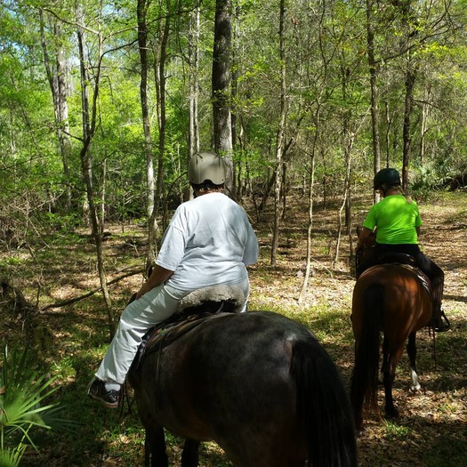 Trail in Withlacoochee State Forest