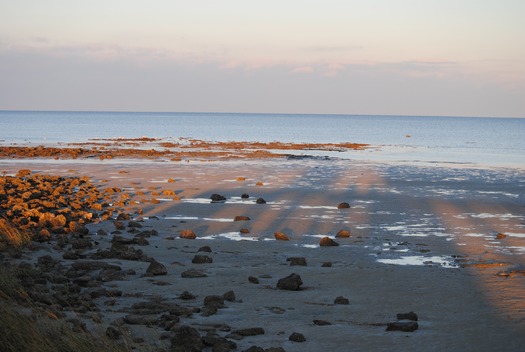 GREAT FL BEACH WALK (photo by CKnudson)