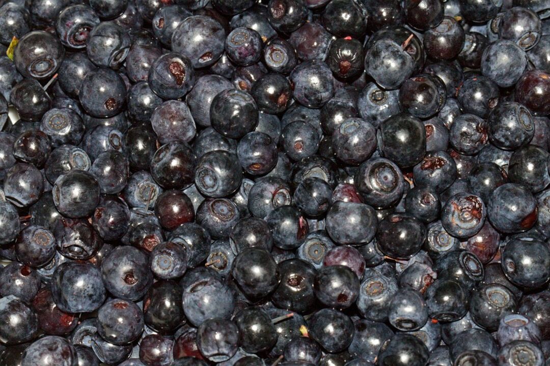 fresh blueberries