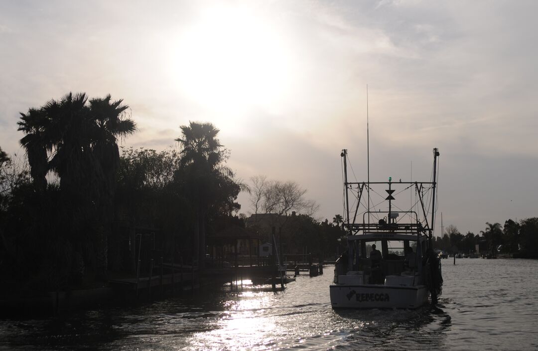 Hernando Beach channel scenes (11)