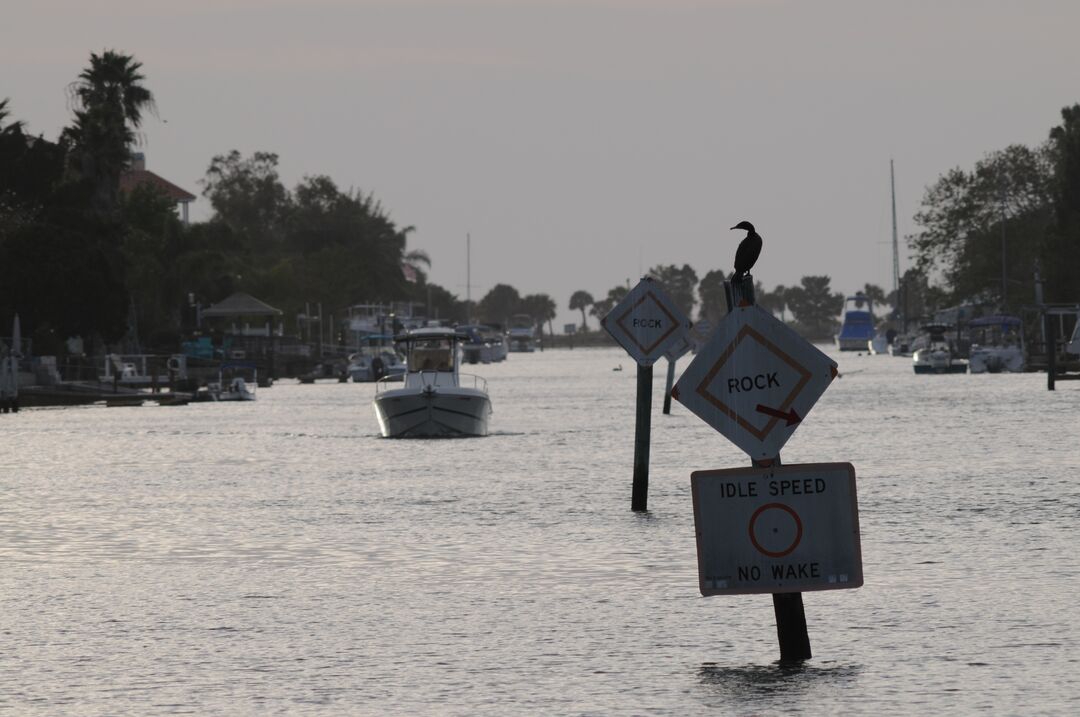 Hernando Beach channel scenes (33)