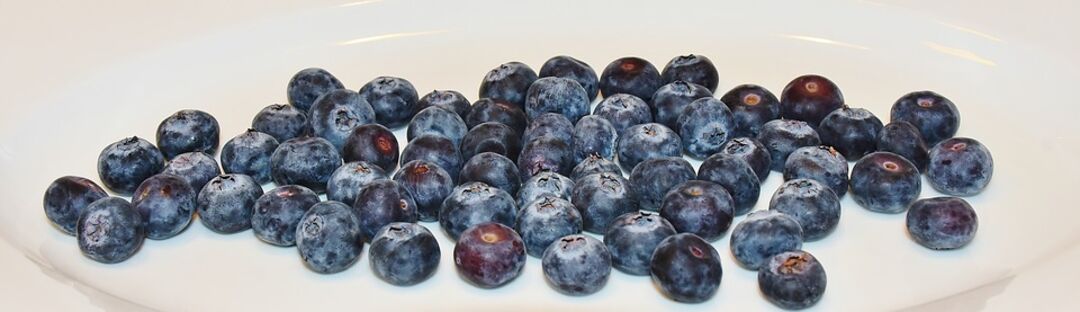 blueberries - wide shot