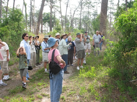 Pioneer Day-chinsegut nature ctr