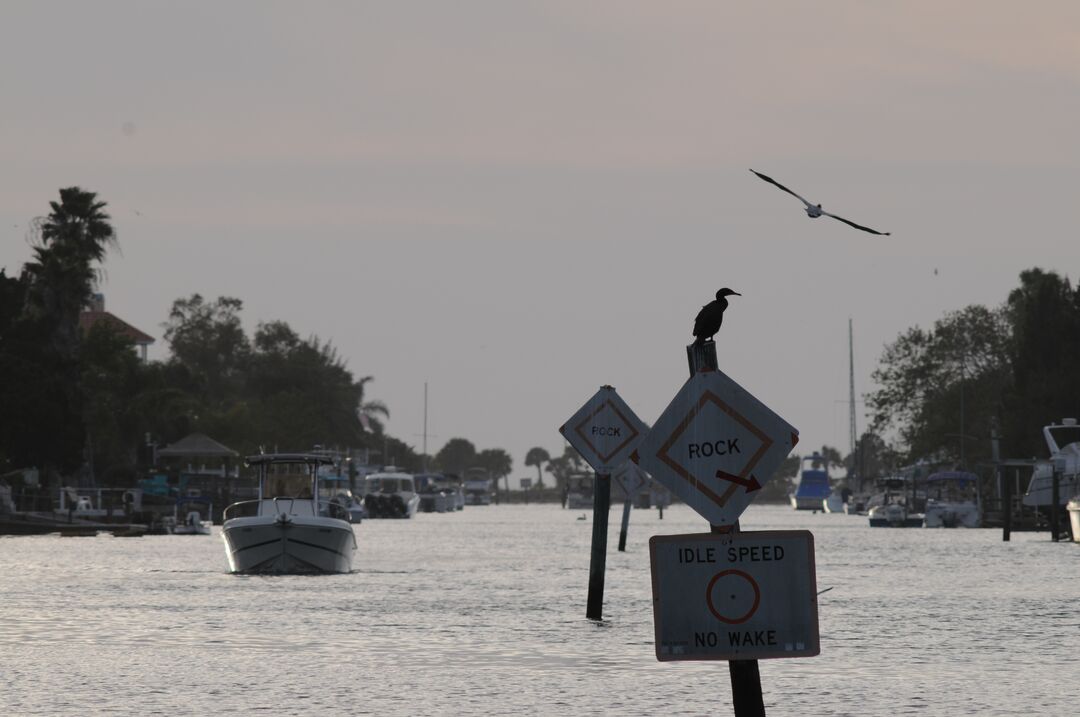 Hernando Beach channel scenes (34)