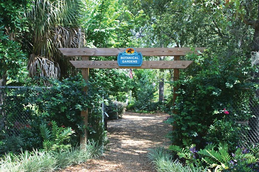 botanical-gardens