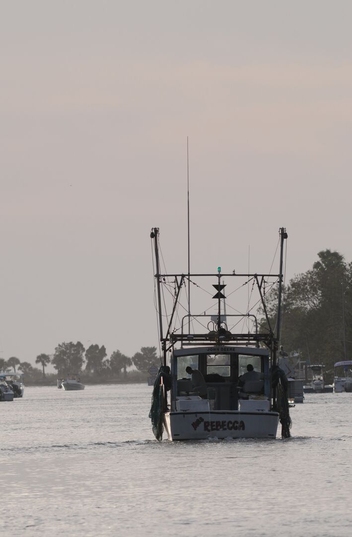 Hernando Beach channel scenes (23)