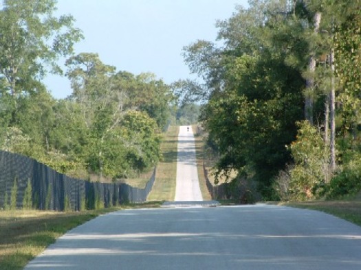 suncoast trail