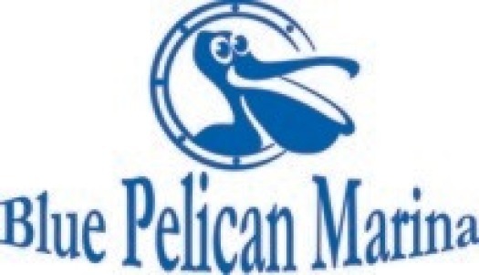 thumb_Blue_Pelican