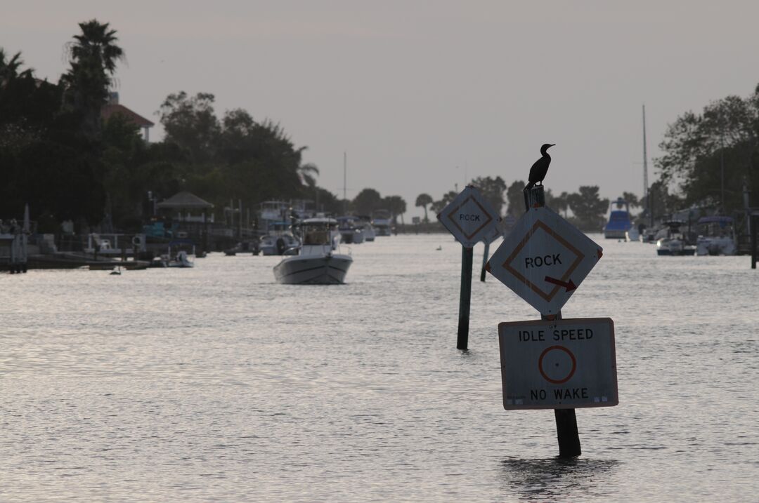 Hernando Beach channel scenes (32)