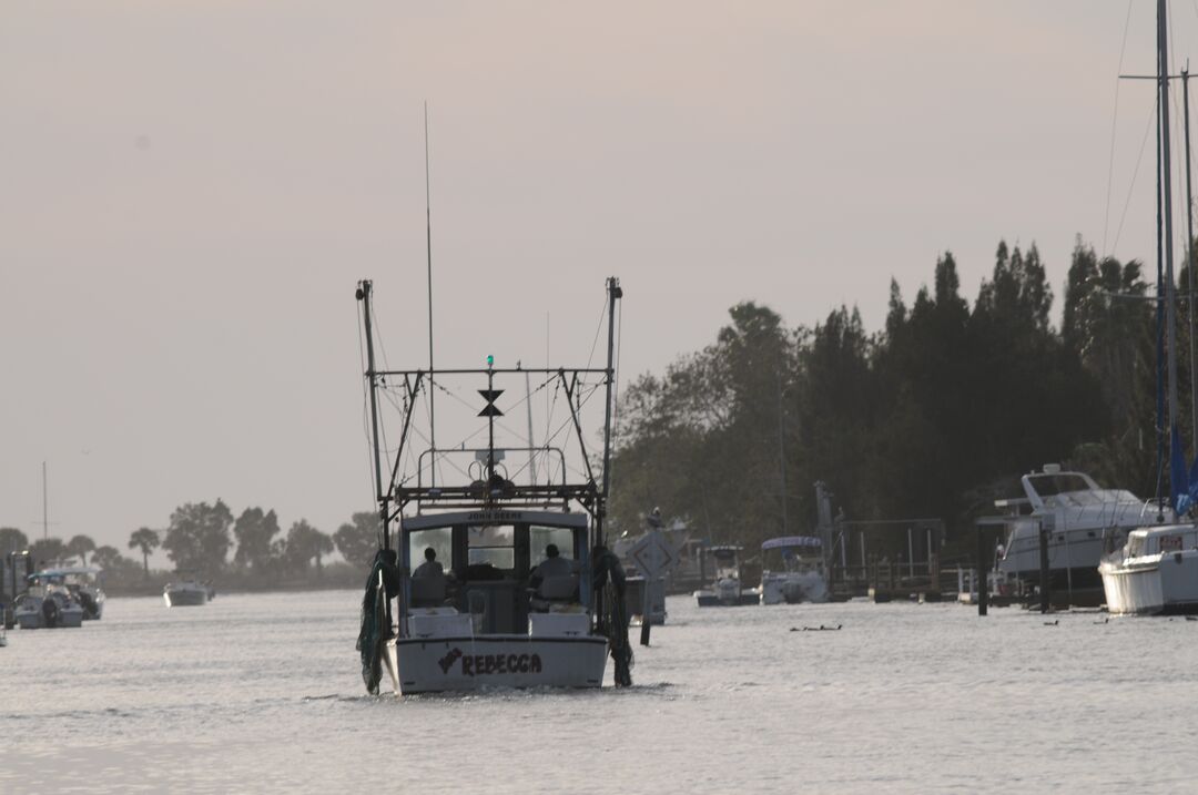 Hernando Beach channel scenes (25)