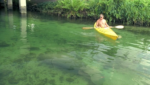 canoe