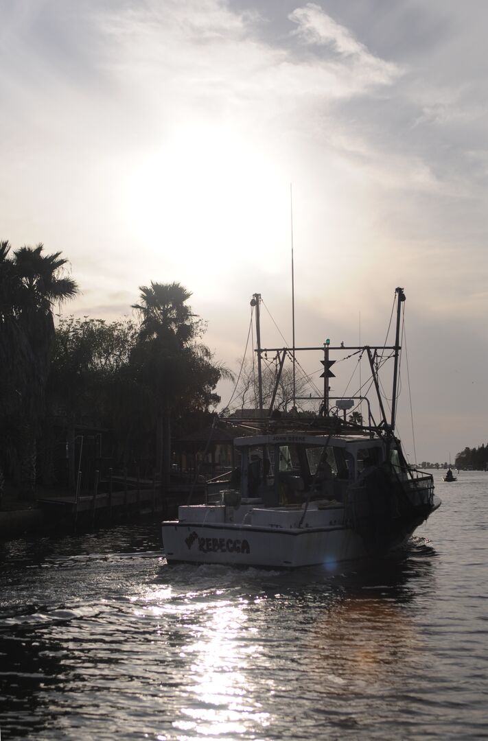 Hernando Beach channel scenes (9)