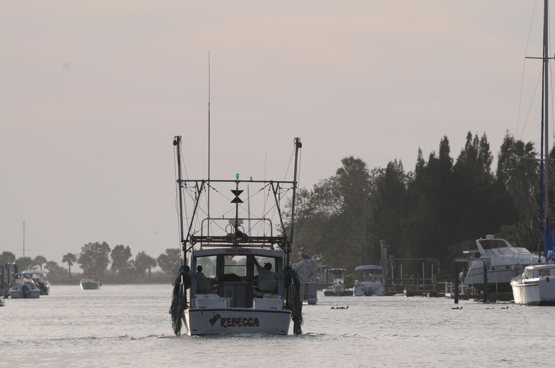 Hernando Beach channel scenes (24)