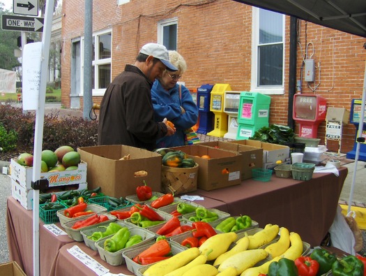 downtown brooksville market