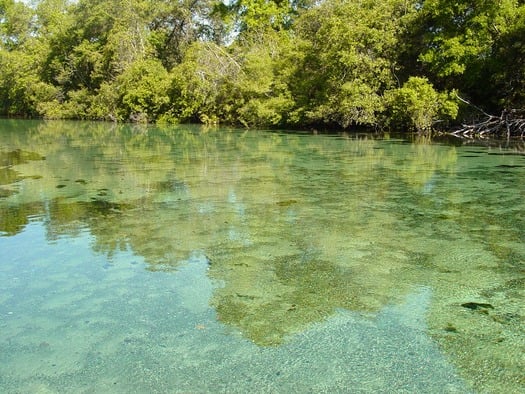 Weeki Wachee Springs