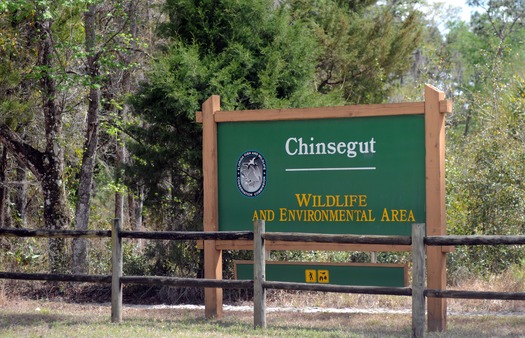 Chinsegut Nature Center (4)