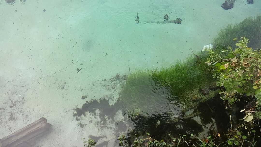 Weeki Wachee Springs