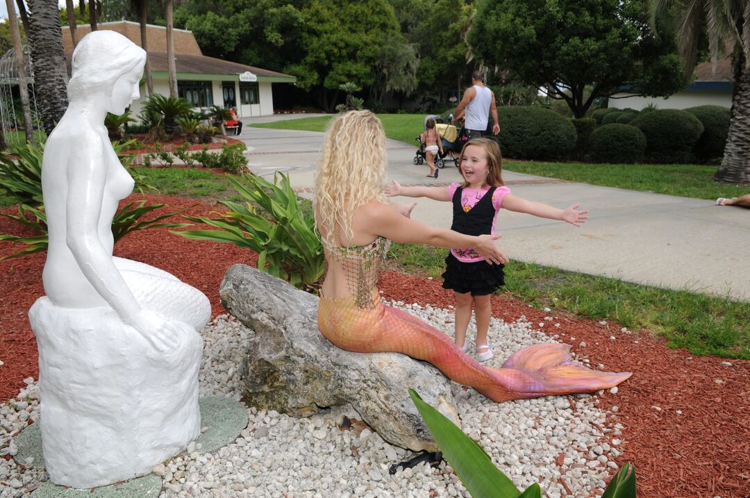 Mermaid Meet and Greet