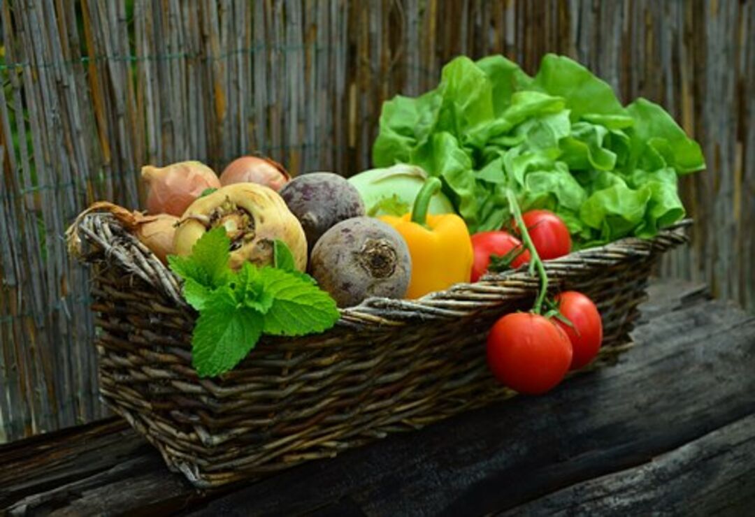 basket mixed root veggies, mint, tomato, bib lettuce (pixabay)