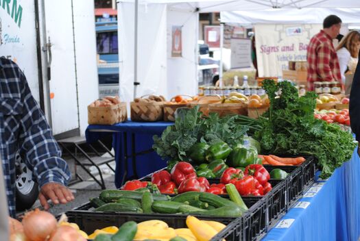 Farmer's Market, Brooksville