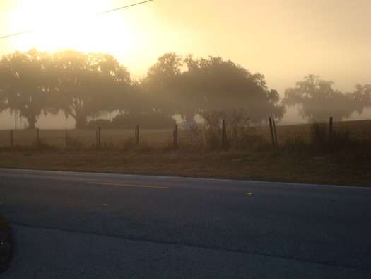 Sunrise-Hernando County