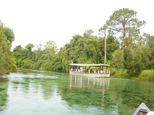 Weeki Wachee River Cruise