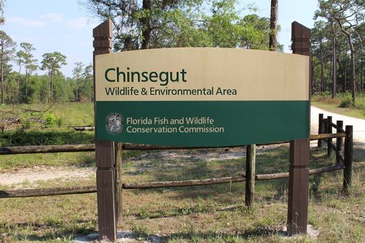 Chinsegut Conservation Center, Brooksville