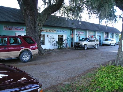 Boyett's Grove & Citrus Attraction