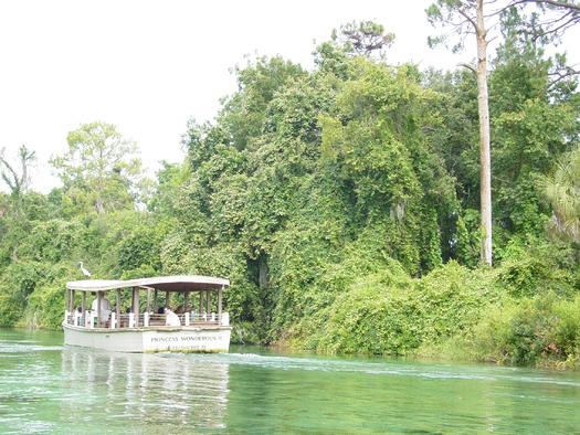 Weeki Wachee River Cruise