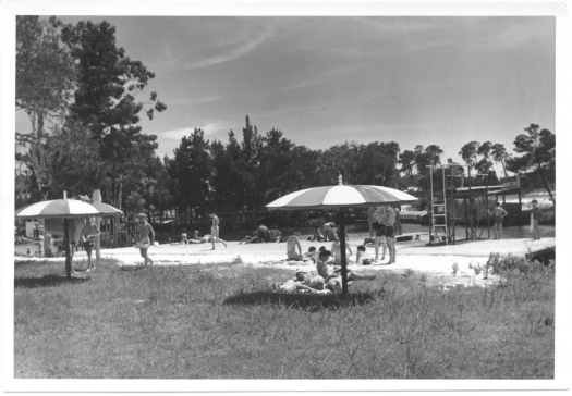 Vintage Weeki Wachee