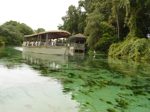 Weeki Wachee Springs