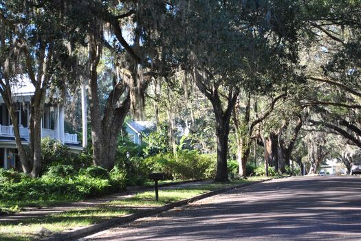 Homes in Downtown Brooksville