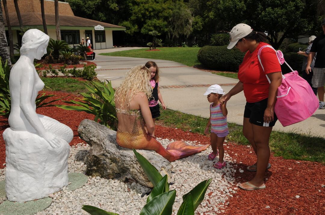 Mermaid Meet and Greet