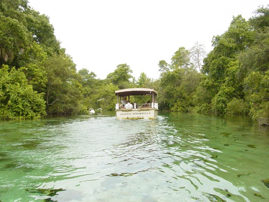 Weeki Wachee River Cruise