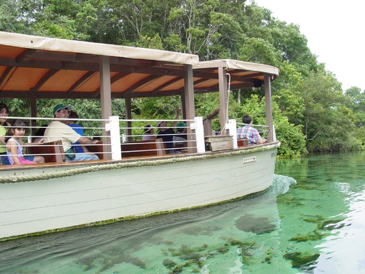 Weeki Wachee River Cruise