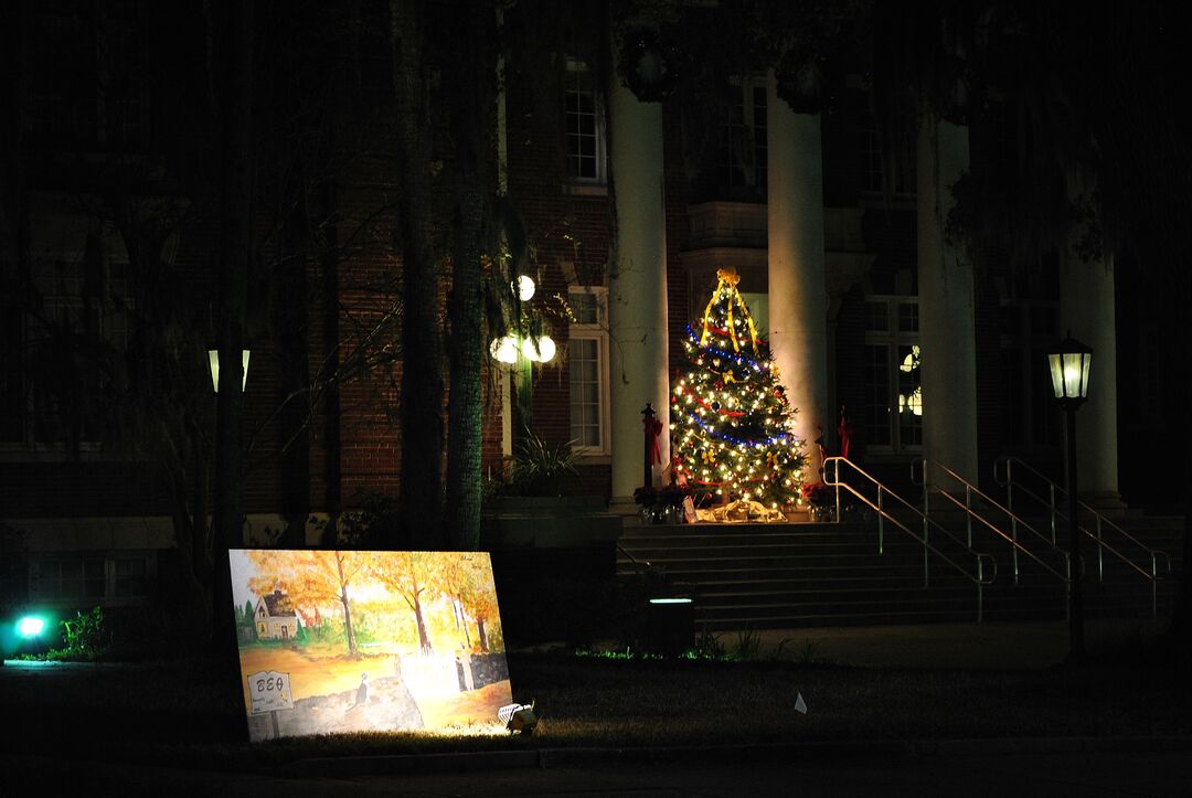 Tree and lawn card -Courthouse at night 2012