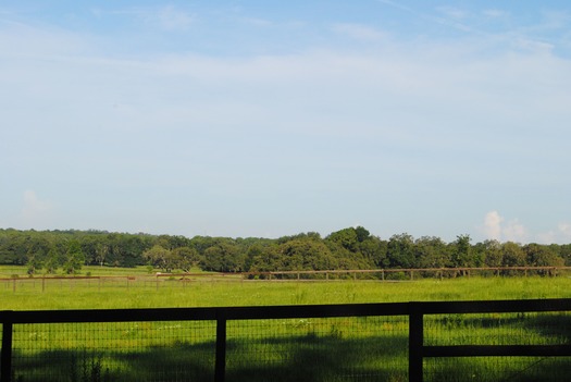 Field on Weatherly 061717