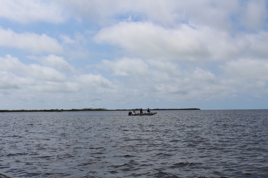 Water Adventures on the Gulf