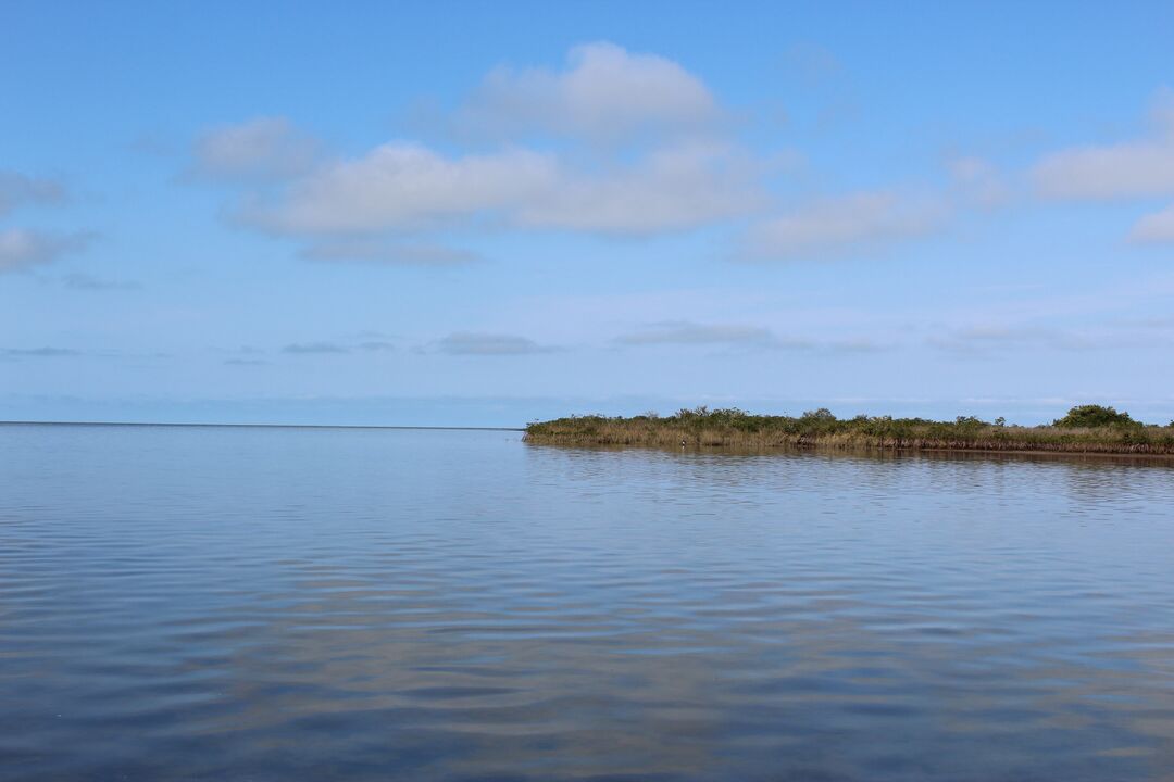 Water Adventures on the Gulf