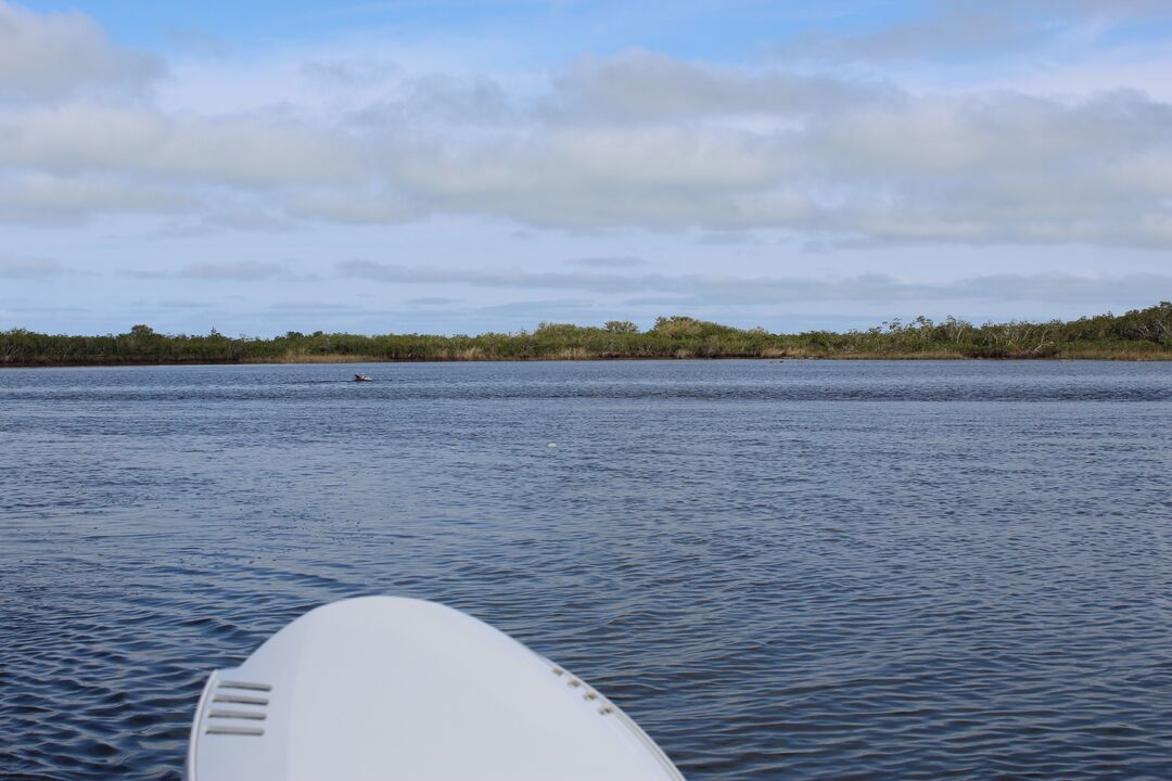 Water Adventures on the Gulf