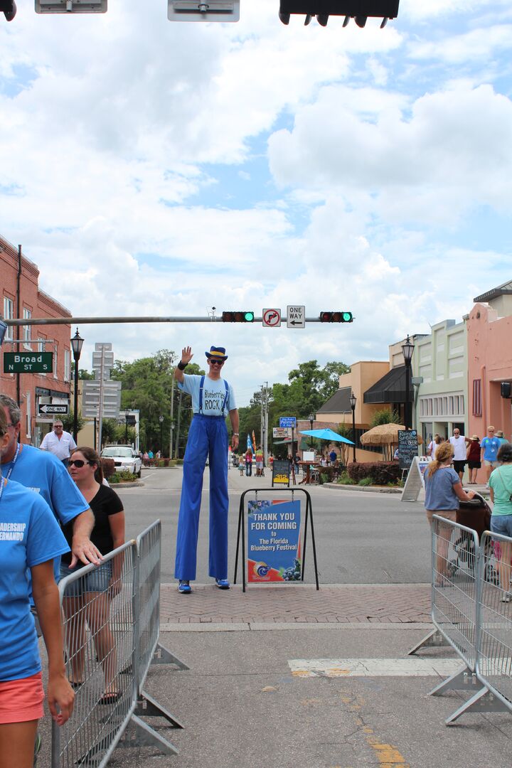 Blueberry Festival 2015