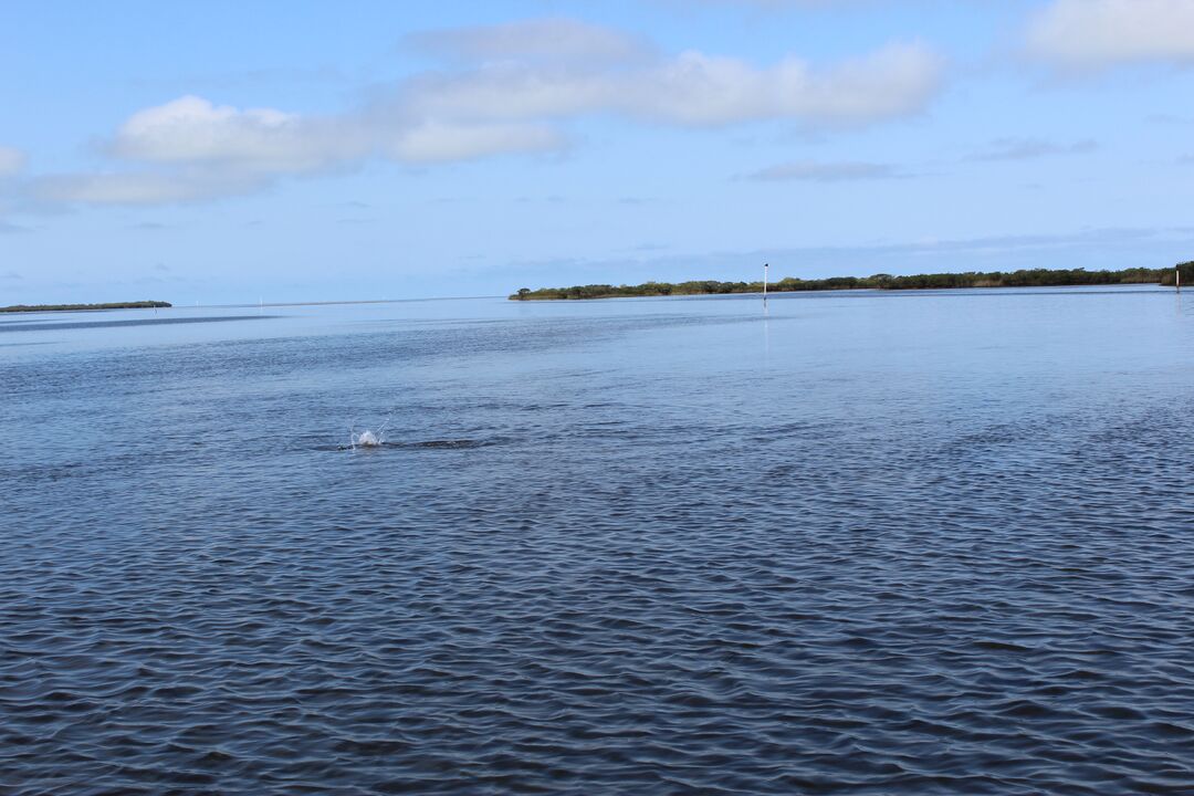 Water Adventures on the Gulf