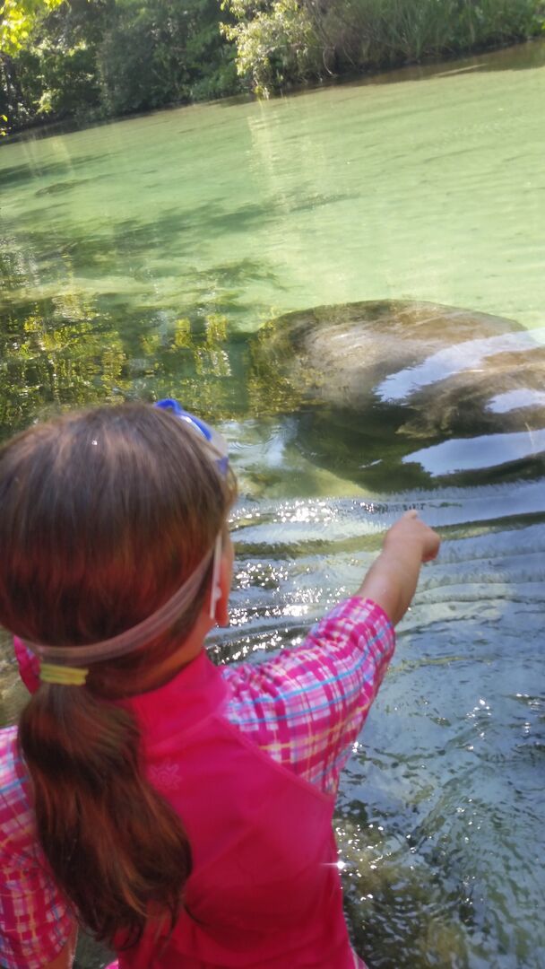 Little Girl Manatee