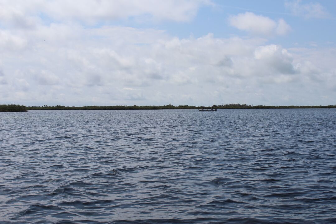 Water Adventures on the Gulf